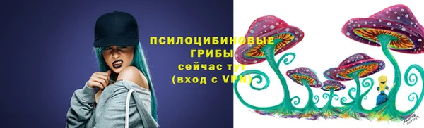 твердый Горнозаводск