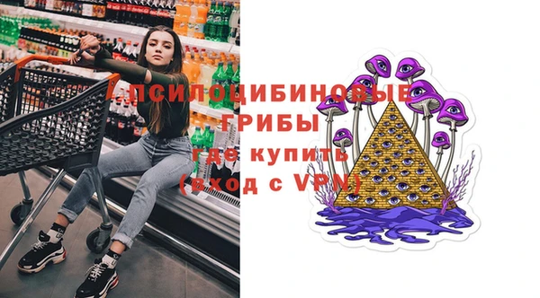 твердый Горнозаводск